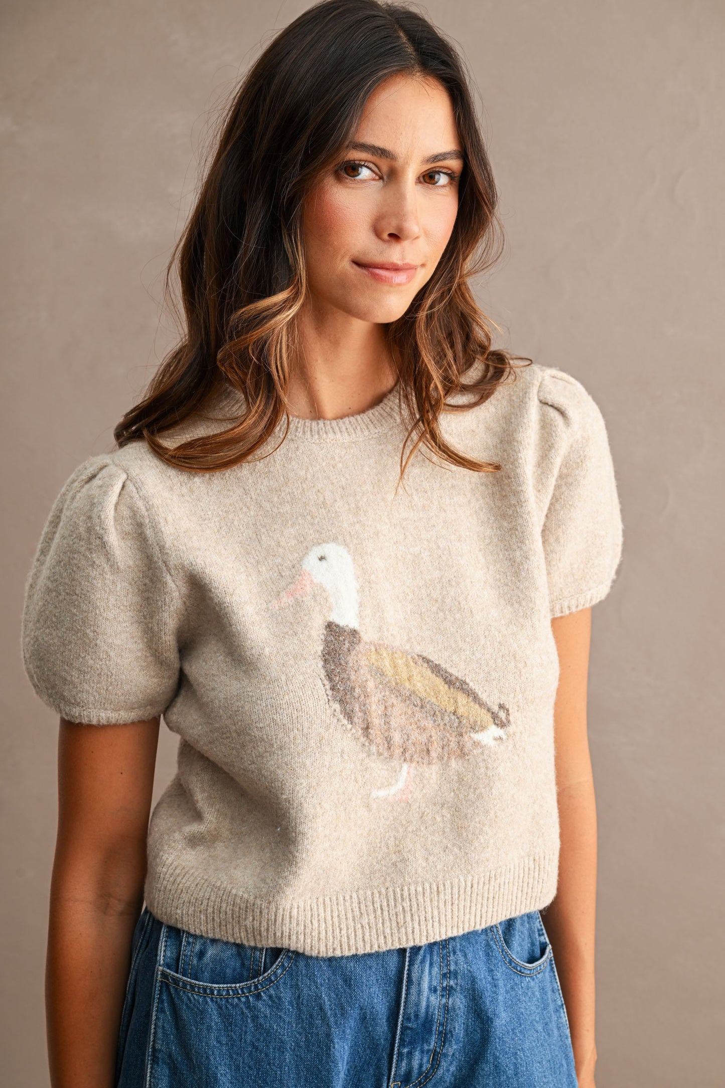 Contrast Duck Jacquard Puff Sleeve Knit Cropped Top