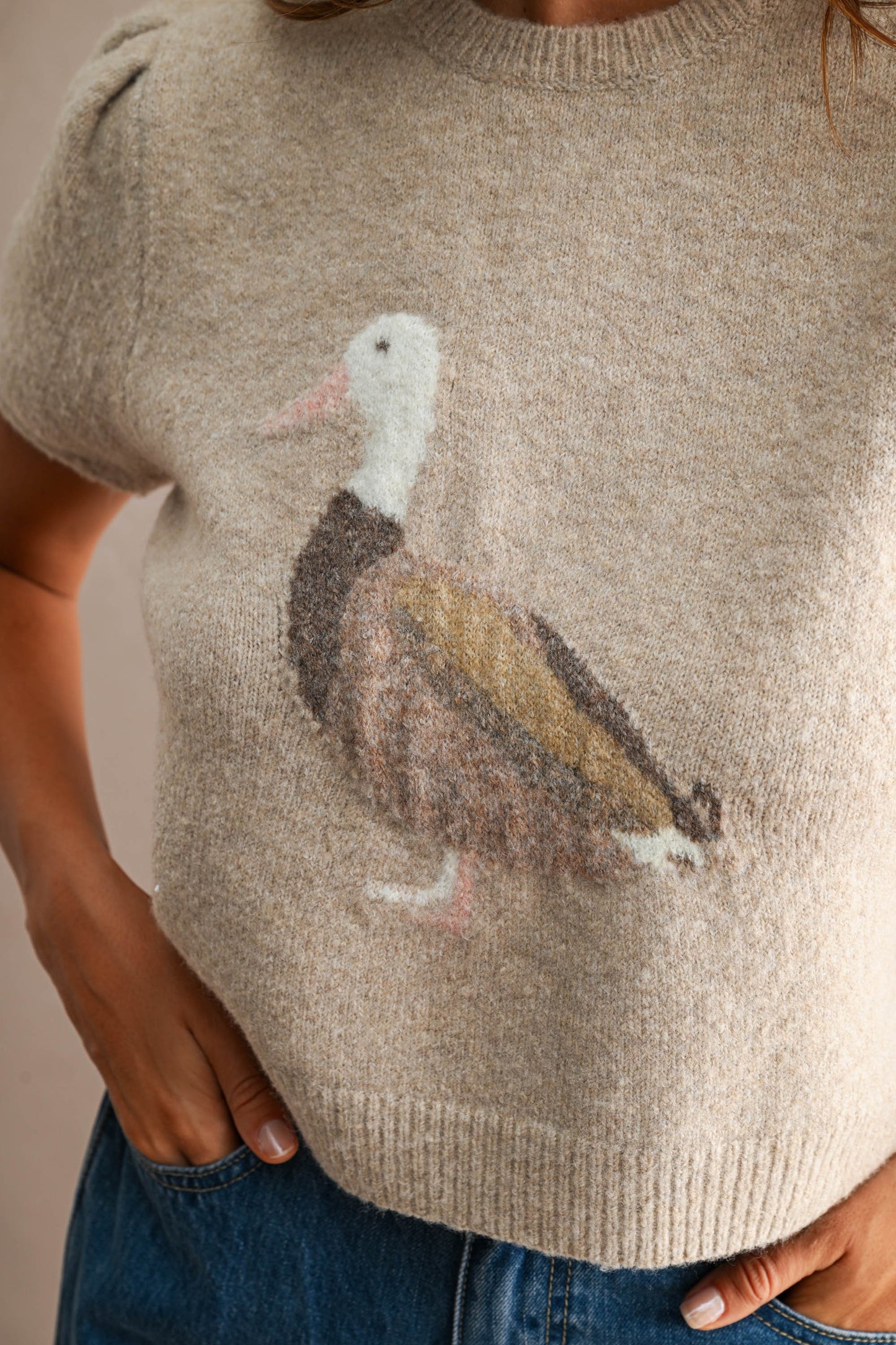 Contrast Duck Jacquard Puff Sleeve Knit Cropped Top