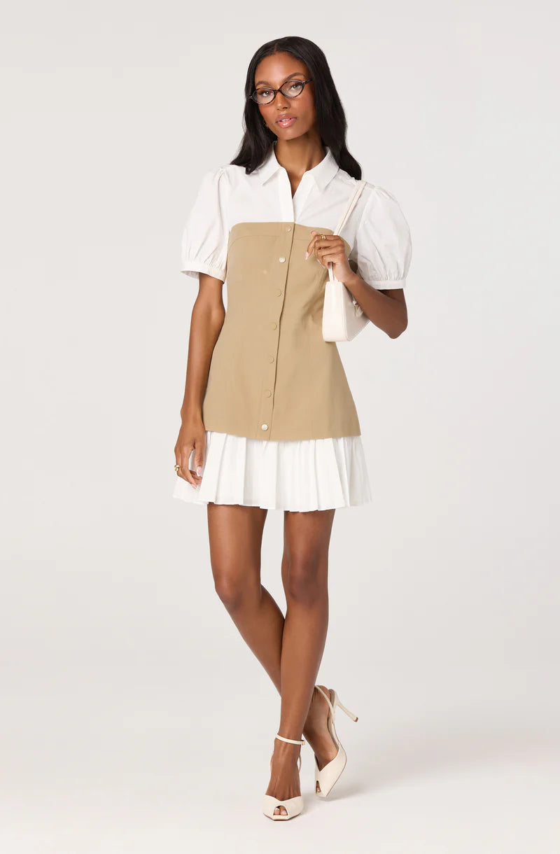 Joseline Faux Mini Dress