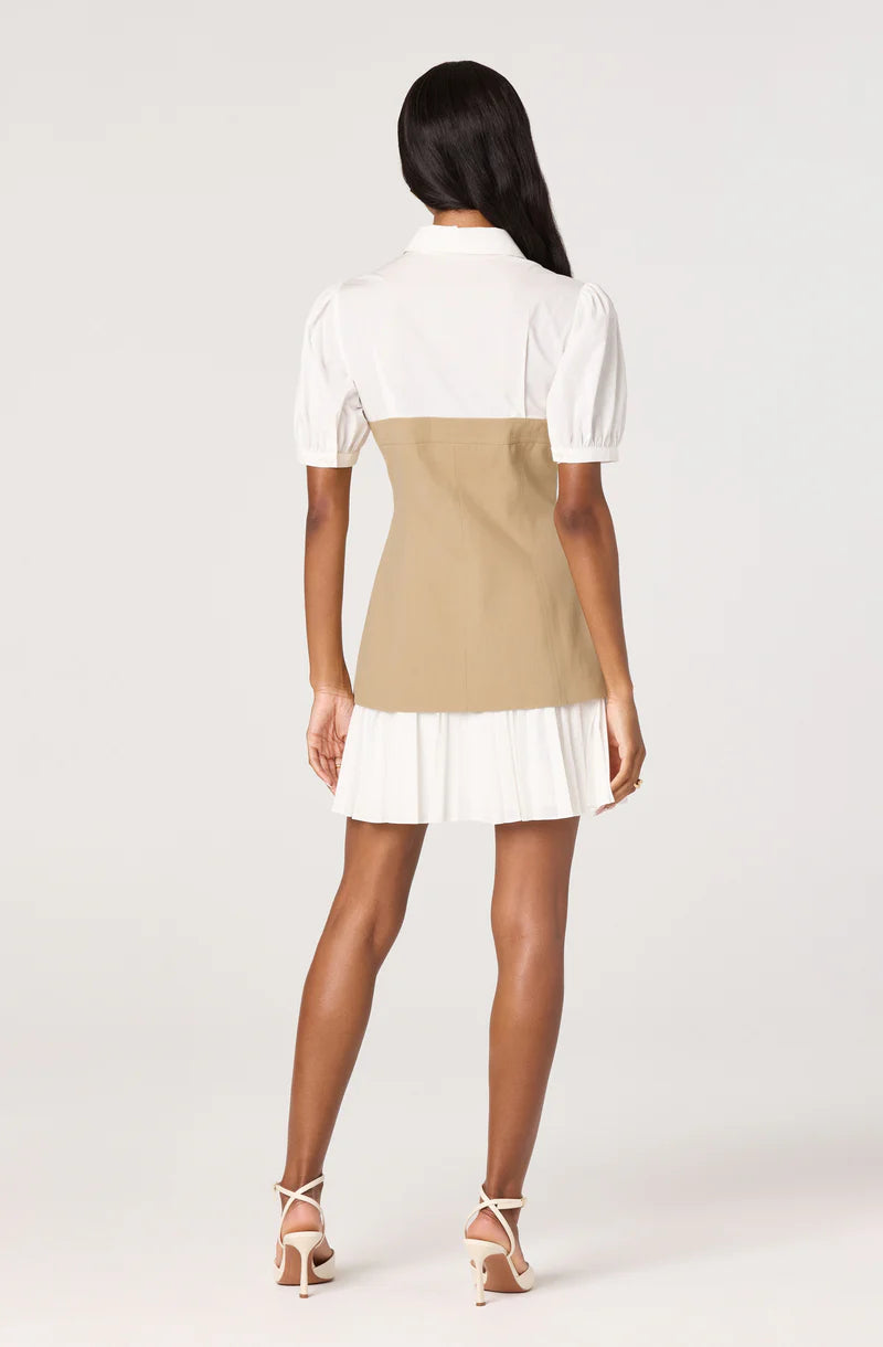 Joseline Faux Mini Dress
