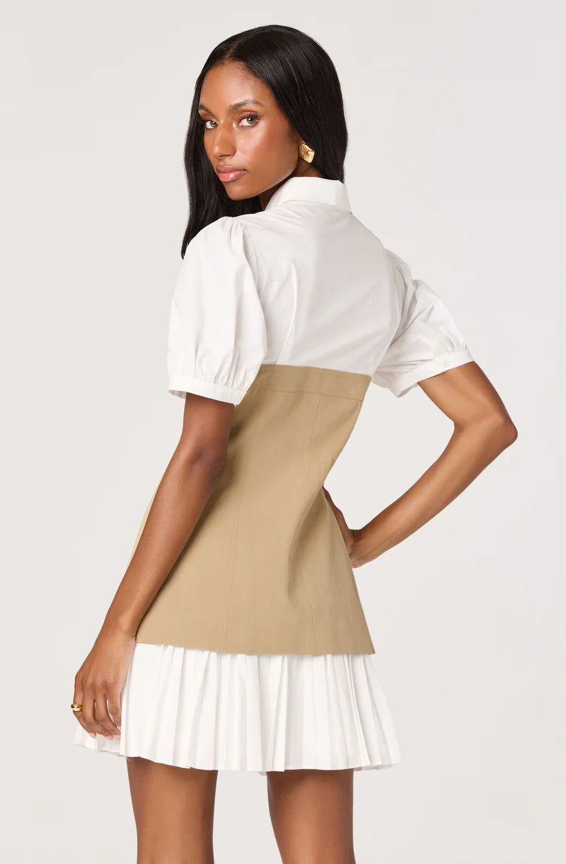 Joseline Faux Mini Dress