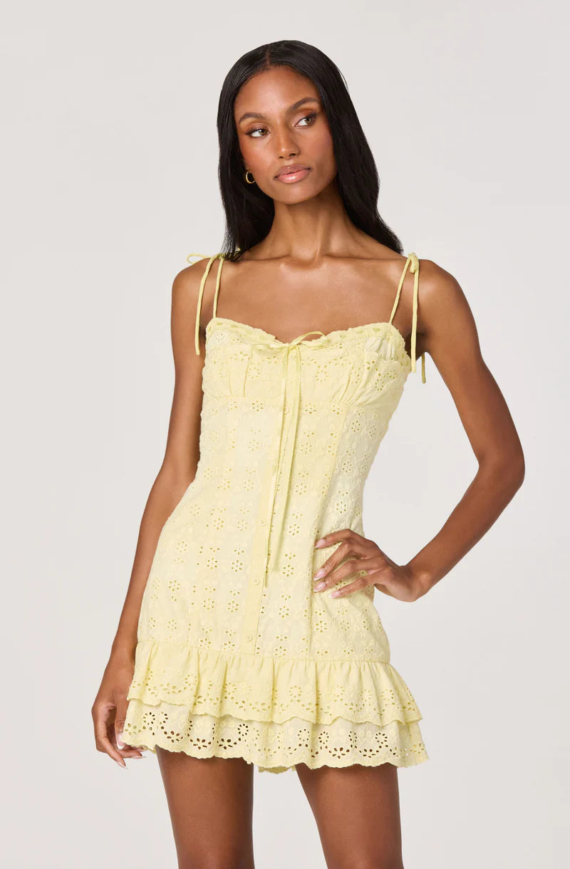 Kelley Eyelet Tie-Strap Mini Dress