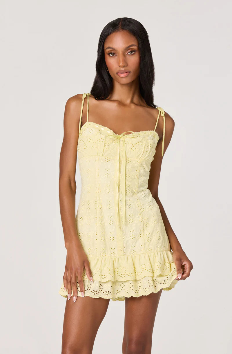 Kelley Eyelet Tie-Strap Mini Dress
