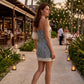 Eva Embroidered Denim Lace Strapless Mini Dress