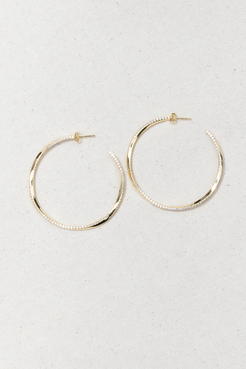 Twisted Hoop Earrings (Silver or Gold Tone)